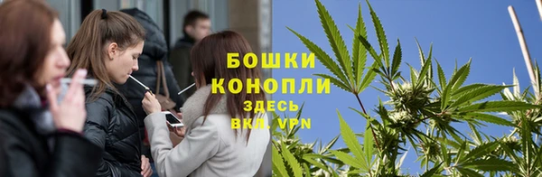 apvp Арсеньев