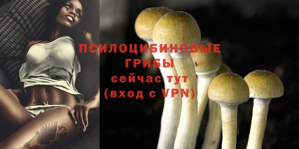 apvp Арсеньев