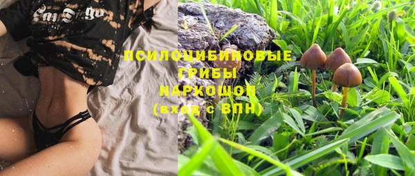 MDMA Premium VHQ Аркадак