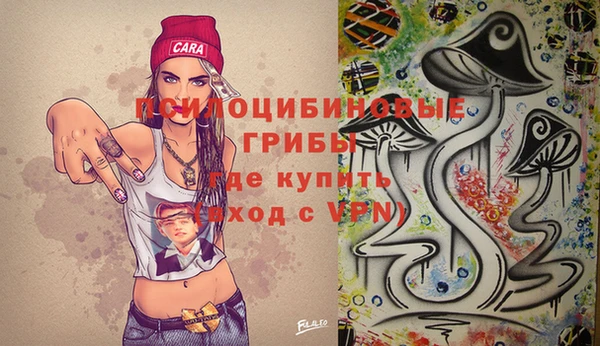 apvp Арсеньев