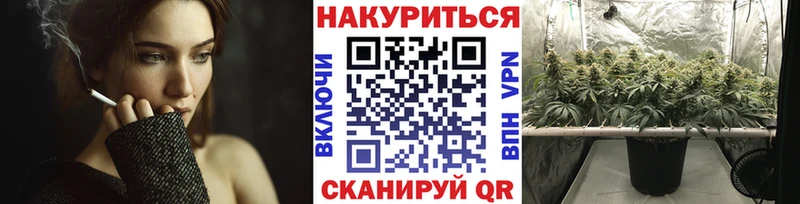 Бошки марихуана сатива  Сергач 